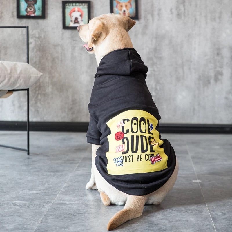 Dog hoodie