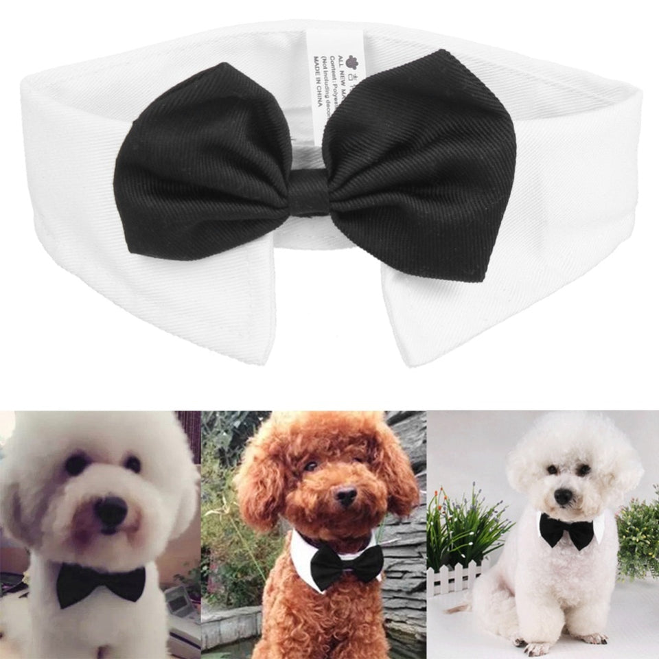 Bow Tie Pet Costume