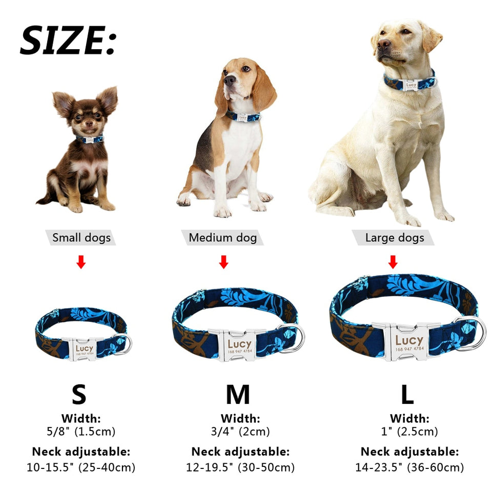 Dog Collar