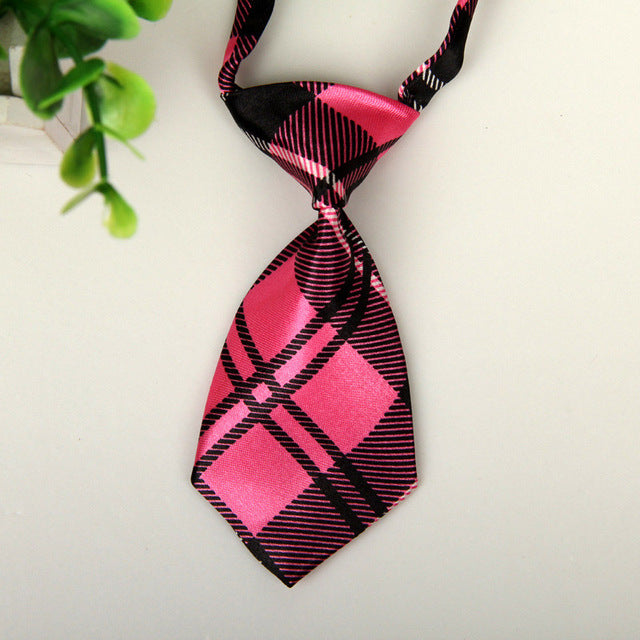 Pet Necktie