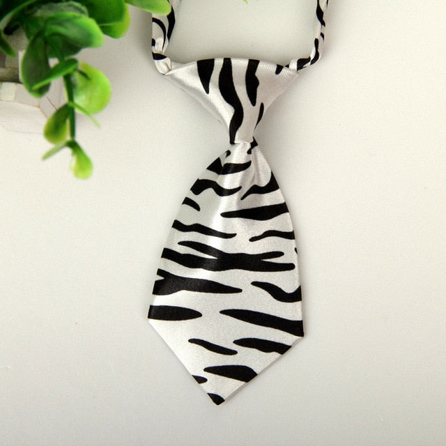 Pet Necktie