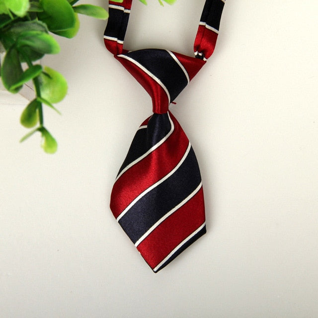 Pet Necktie