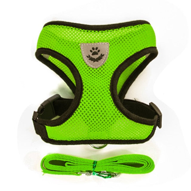 Harness and Leash Set
