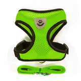 Harness and Leash Set