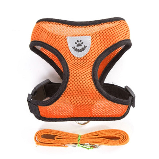 Harness and Leash Set