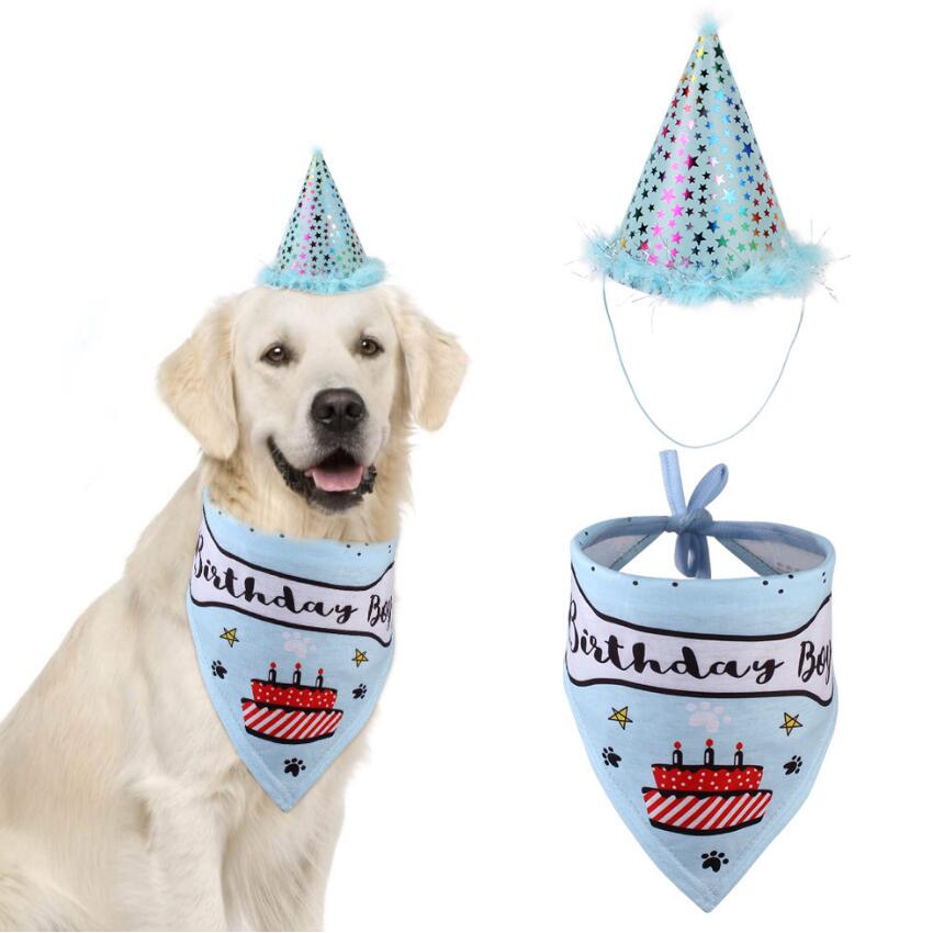 Party Dogs Caps & Bandana Set