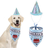 Party Dogs Caps & Bandana Set