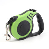 Dog Leash