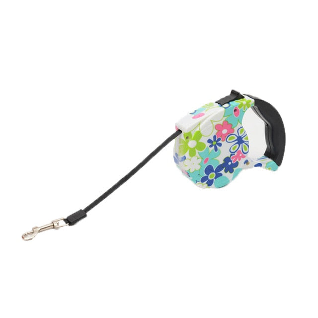 Dog Leash