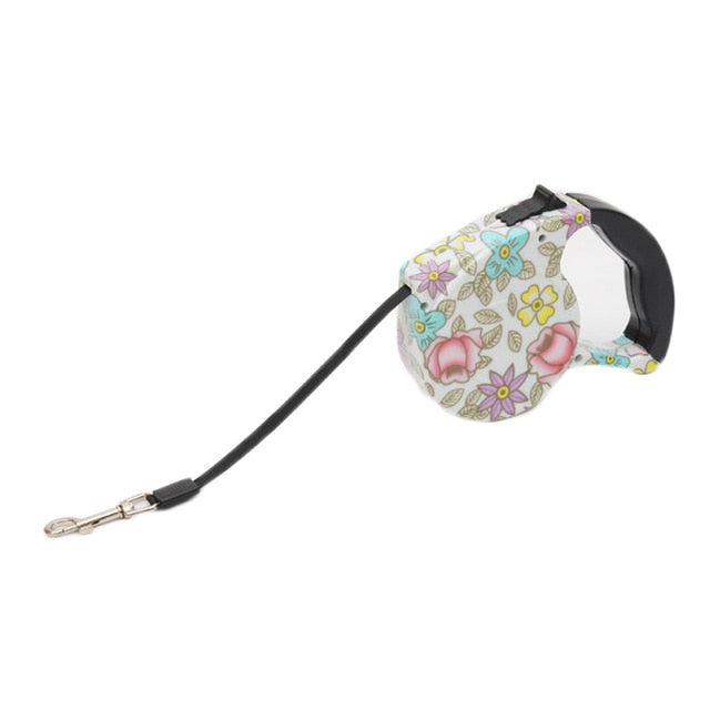 Dog Leash