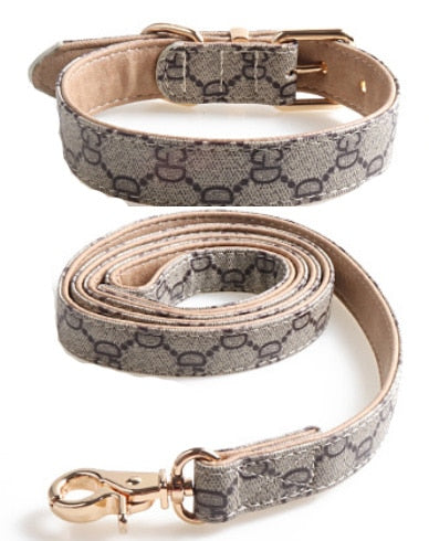Collar Leash GUCCI