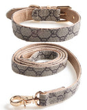 Collar Leash GUCCI