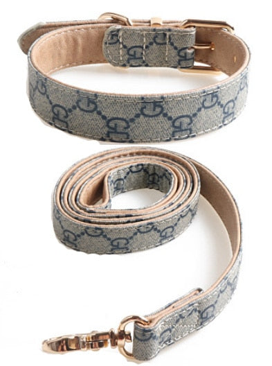 Collar Leash GUCCI