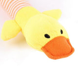 Puppy Chew Squeaker