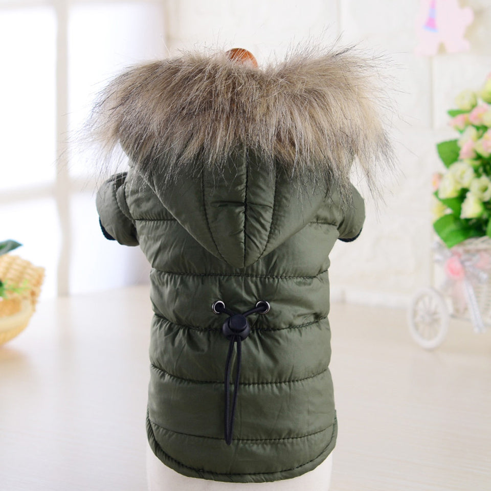 coat jacket