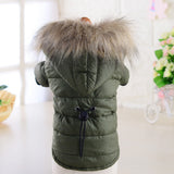 coat jacket