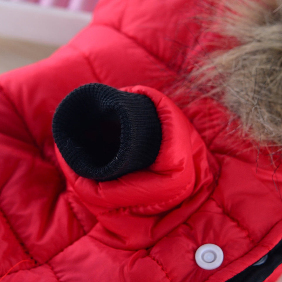 coat jacket