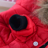 coat jacket