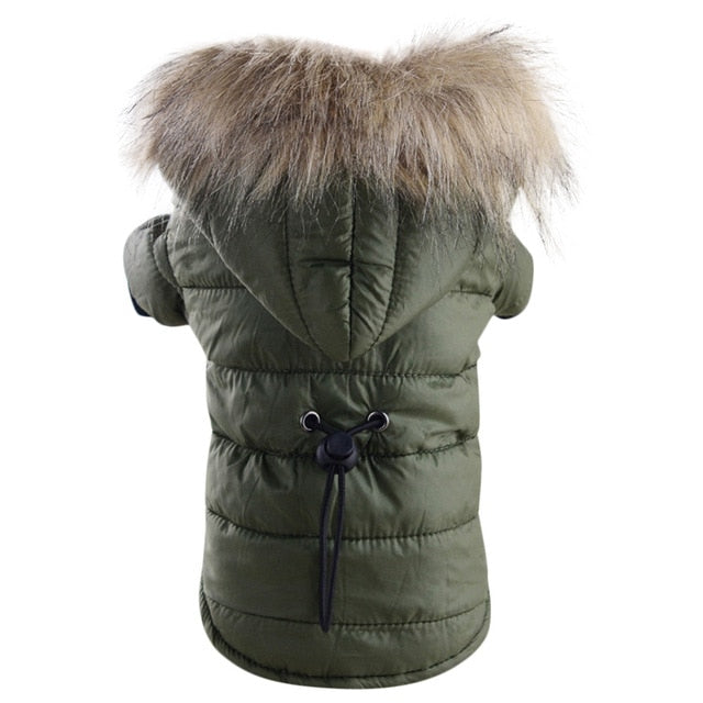 coat jacket