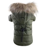 coat jacket
