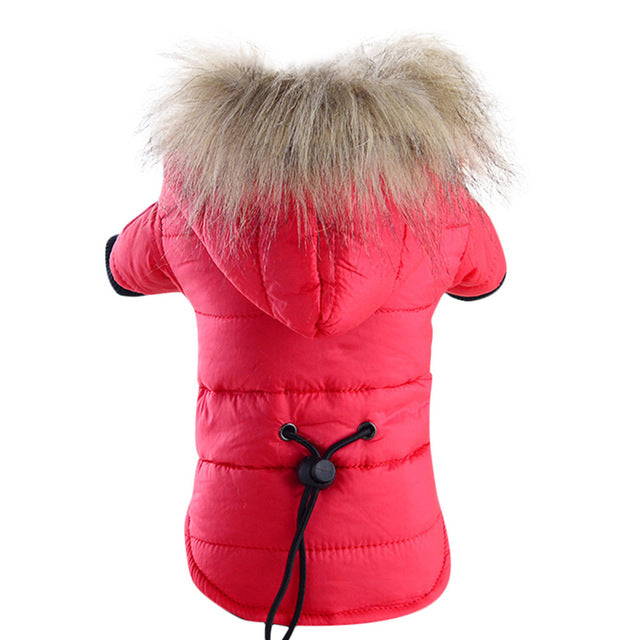 coat jacket