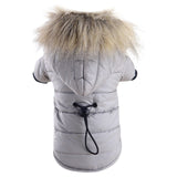 coat jacket