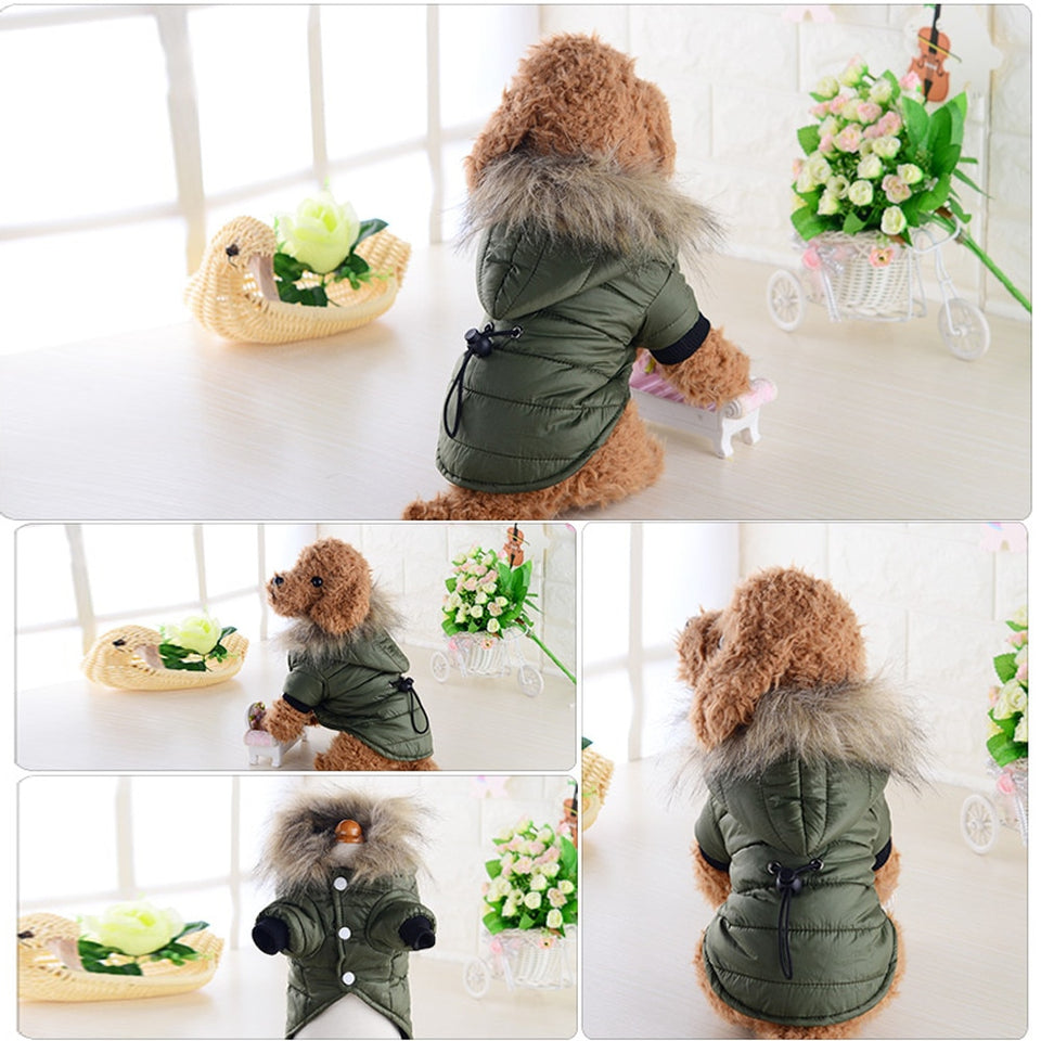 coat jacket