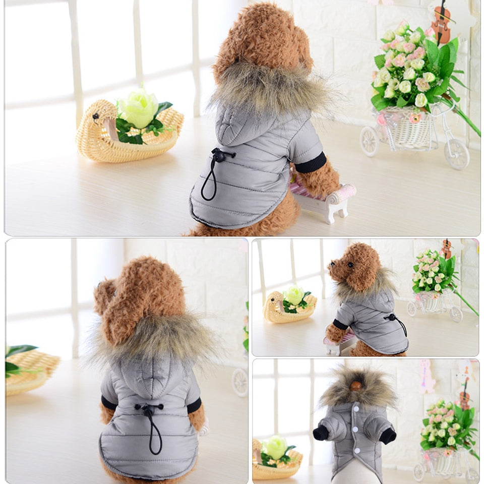 coat jacket