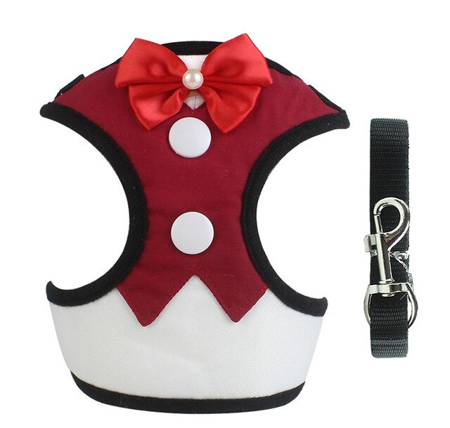 vest dress leash