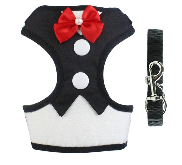 vest dress leash