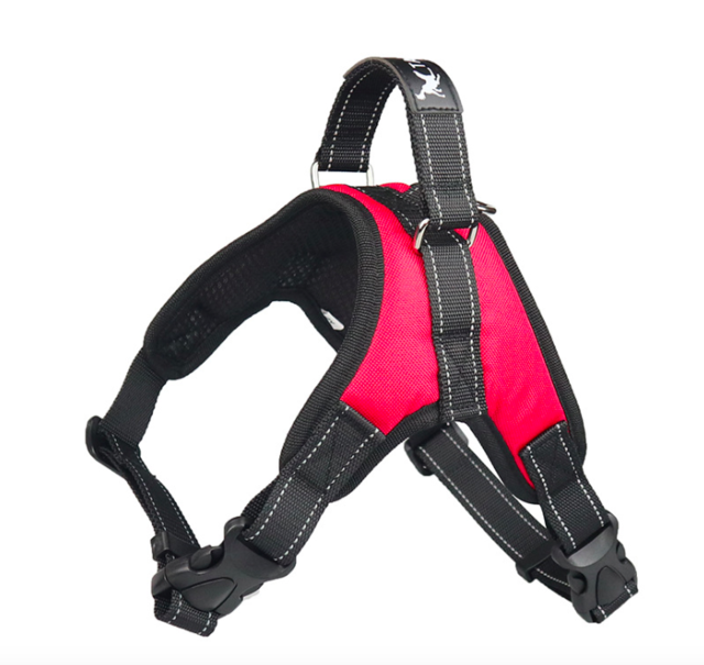 Harness vest