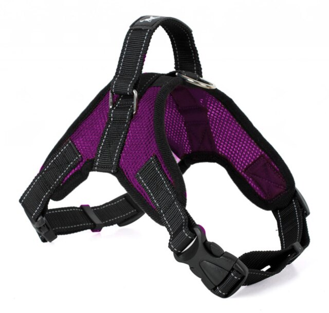 Harness vest