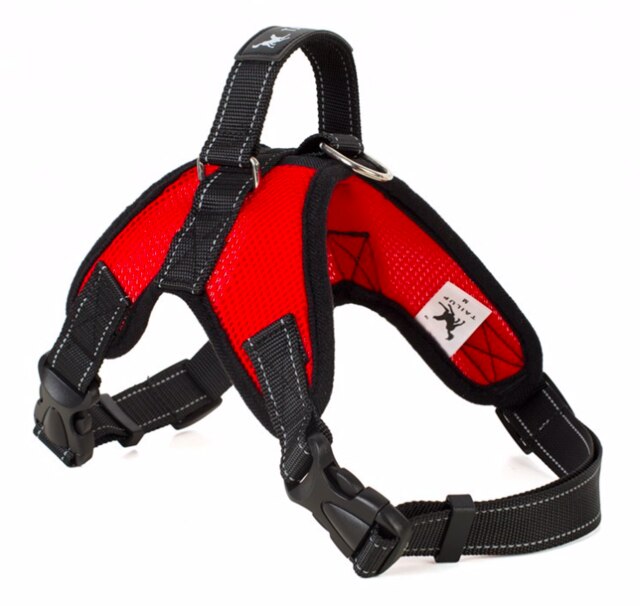 Harness vest