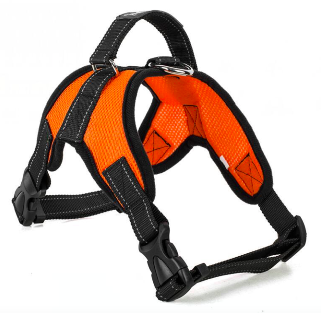 Harness vest