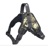 Harness vest