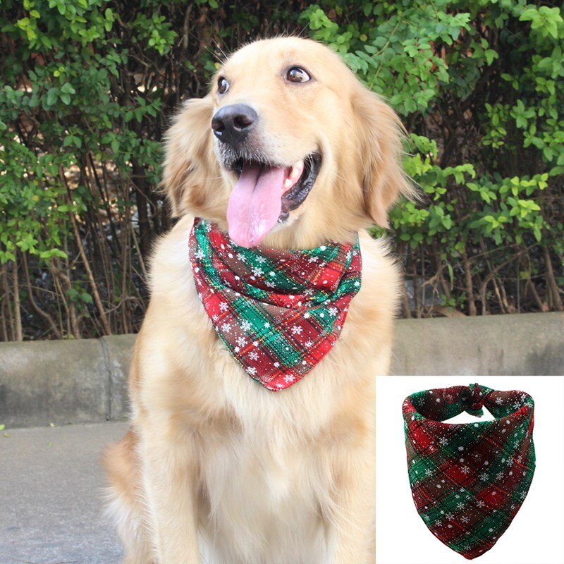 Dogs Bandana