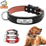 Dog Collar