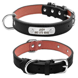 Dog Collar