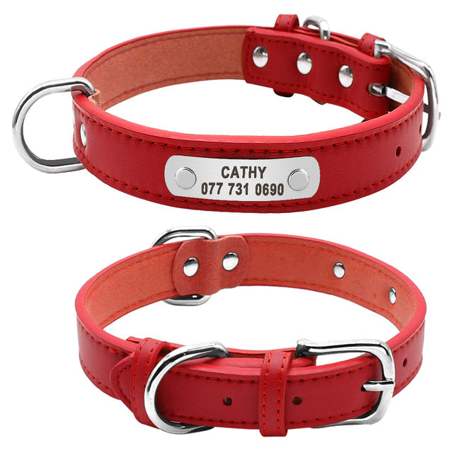 Dog Collar