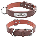 Dog Collar
