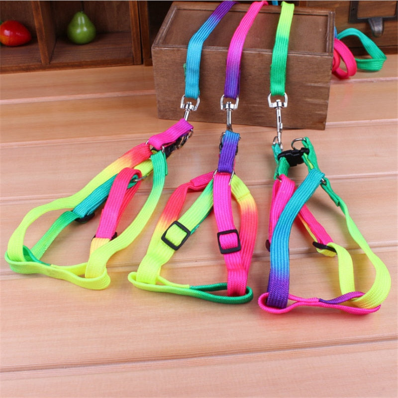 Harness Leash