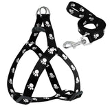 Harness and Leash