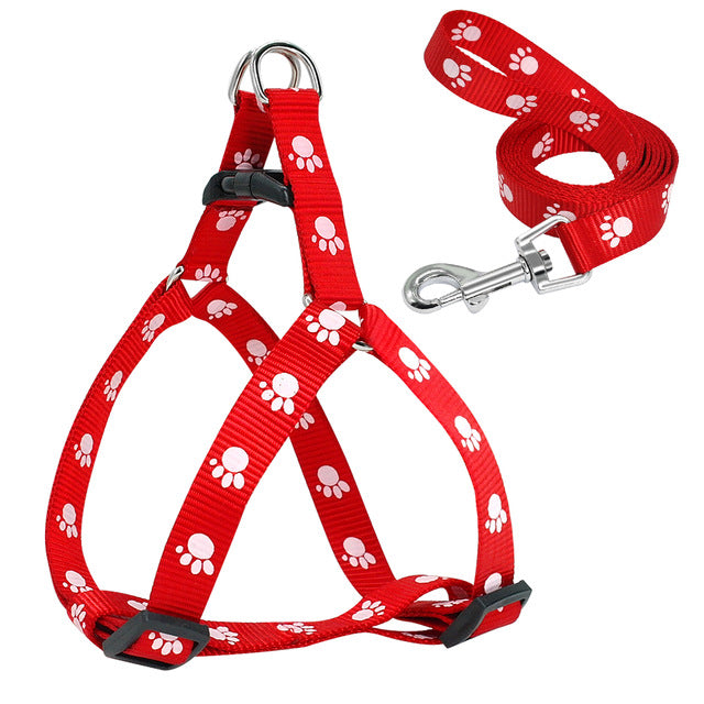 Harness and Leash