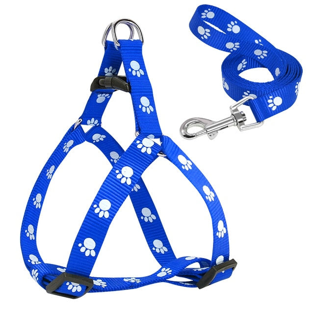 Harness and Leash