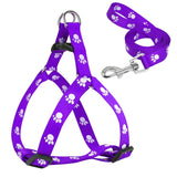 Harness and Leash