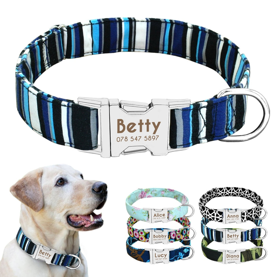 Dog Collar