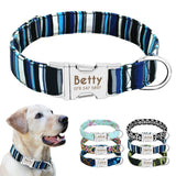 Dog Collar
