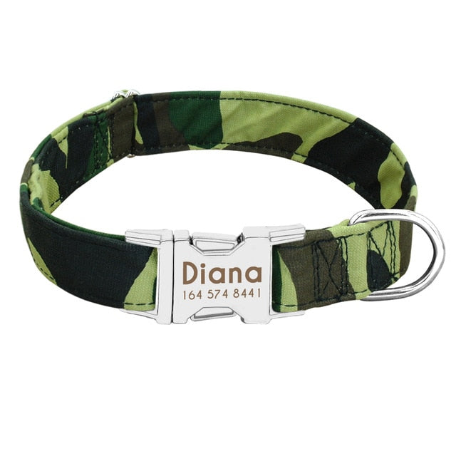 Dog Collar