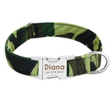 Dog Collar