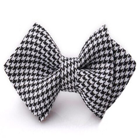 Bow Tie